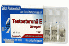 testosteronae.gif