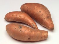 Sweet Potatoes.JPG