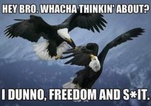Funny-American-Meme-Hey-Bro-Whacha-Thinkin-About-I-Dunno-Freedom-And-Shit-Image.jpg