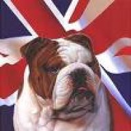 BritishBulldog