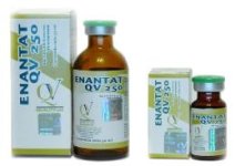 enanthate-250 50ml-10ml qv.jpg