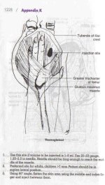 ventrogluteal_site__3.jpg