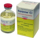 equipoise50[1].jpg