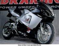 busa.jpg