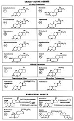 AAS STRUCTURES 3.jpg