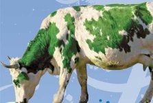 green_cow.jpg.cf.jpg