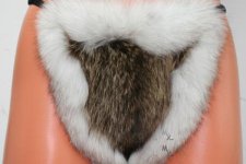fur-thong.jpg