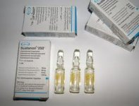 sustanon-250-by-organon.jpg