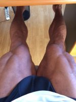 Leg.jpg