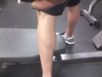 aug 14 calves.jpg aug 14 calves.jpg