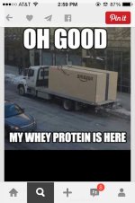 image.jpg