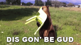 uploadfromtaptalk1424647719254.gif
