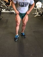 Legs Flex.jpg