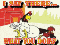 foghorn-leghorn-what-you-doin-fc.gif