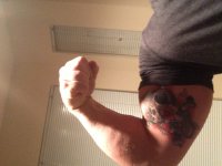TAT3.JPG TAT3.JPG