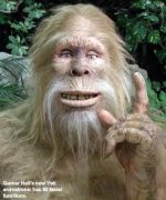 yeti wisdom.jpg