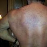 wideback