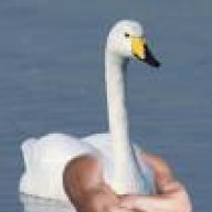 fwbjohn