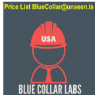 BlueCollarLabs
