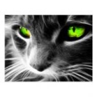 greenpathy